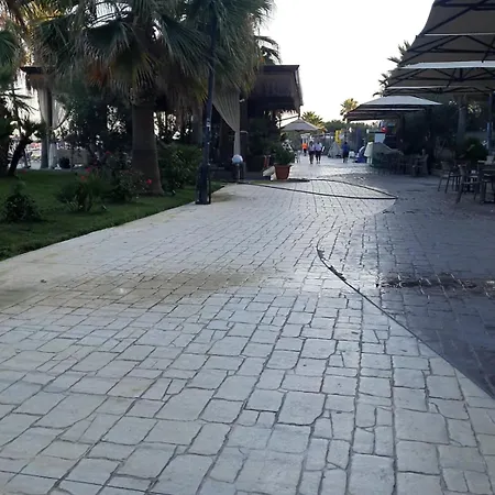 For Rent Qerret Flor De Mar גולם